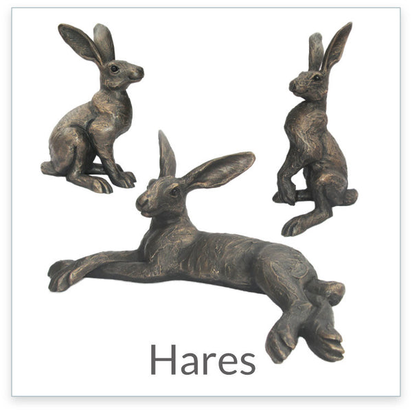 HARES by Suzie Marsh