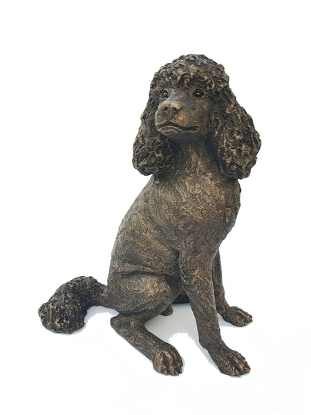 Dennis Standard Poodle