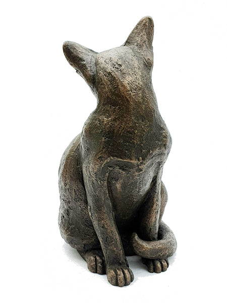 Lucia Looking Around