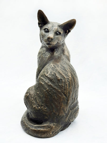 Lucia Looking Around