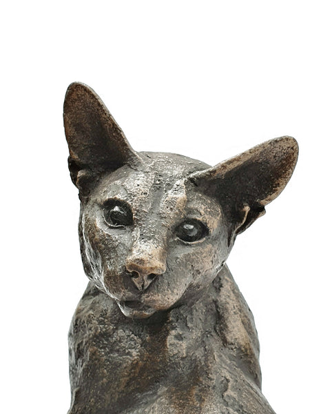 Lucia Looking Around