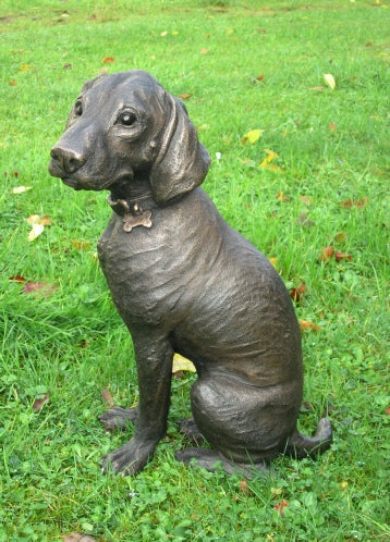 Ruger German Shorthaired Pointer Puppy