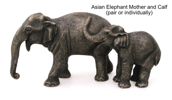Asian Elephant Mother & Calf