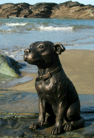 Baxter Sitting Staffy
