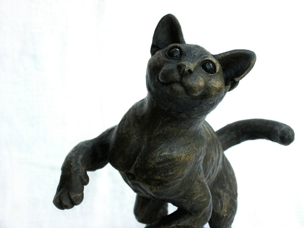 Bella Luna – Playing Burmese Kitten