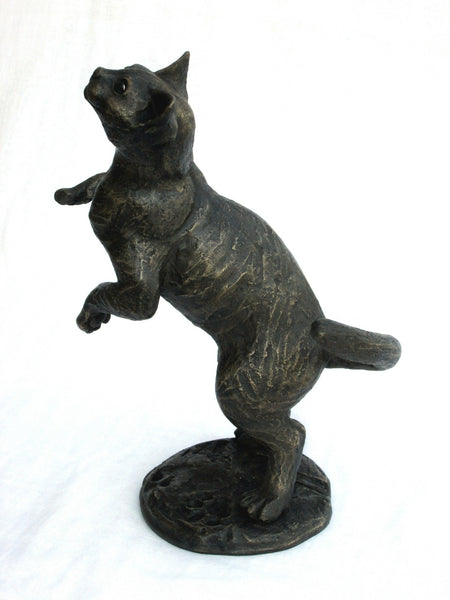 Bella Luna – Playing Burmese Kitten