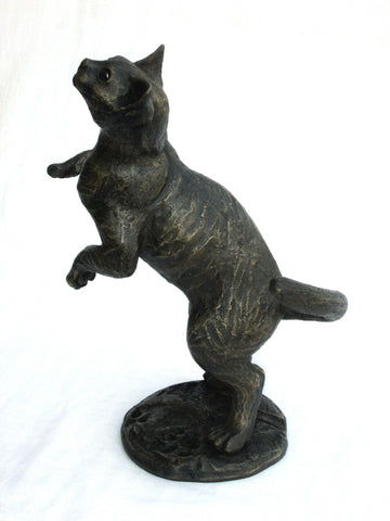 Bella Luna – Playing Burmese Kitten