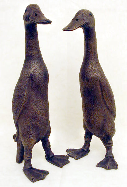 Eric & Buzz Pair medium Indian Runner Ducks