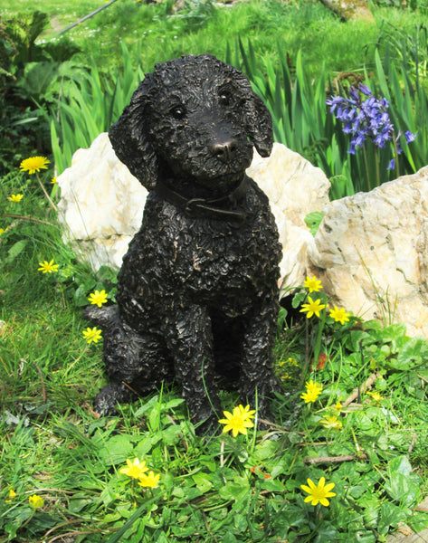 Flo Bedlington Terrier