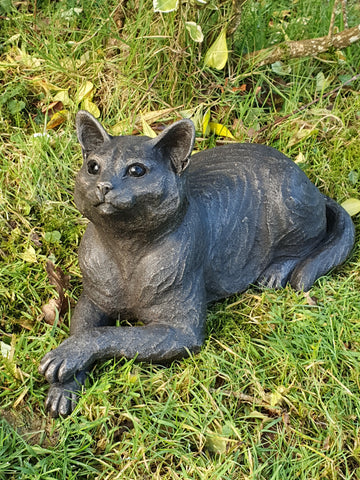 Ginger Cat with crossed paws