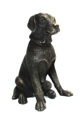 Little Nell  small Labrador