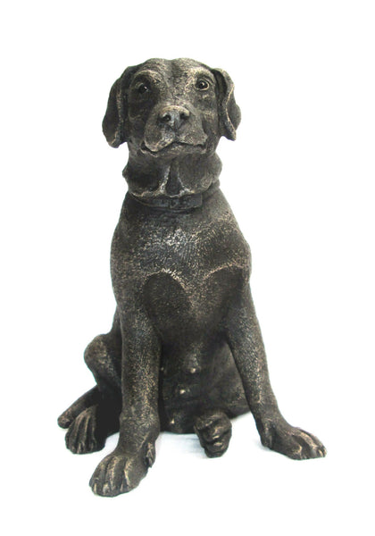 Little Nell  small Labrador