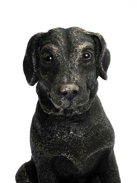 Little Nell  small Labrador