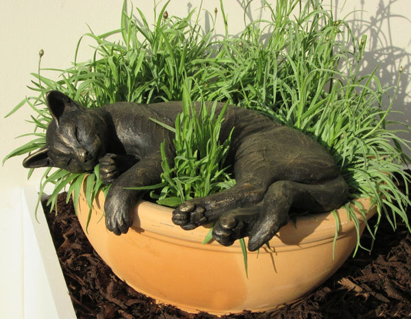 "Phoebe" Sleeping with Hanging Paw Suzie Marsh Sculpture, Bronze resin sculpture Sculpture