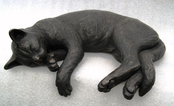 Phoebe Sleeping with Hanging Paw