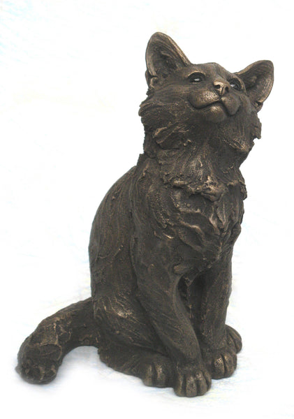 "Raffy" Maine Coon Kitten Suzie Marsh Sculpture, Bronze resin sculpture Sculpture