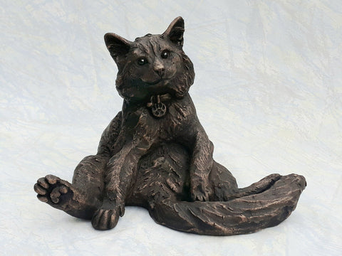 Stan Sitting Fluffy Cat