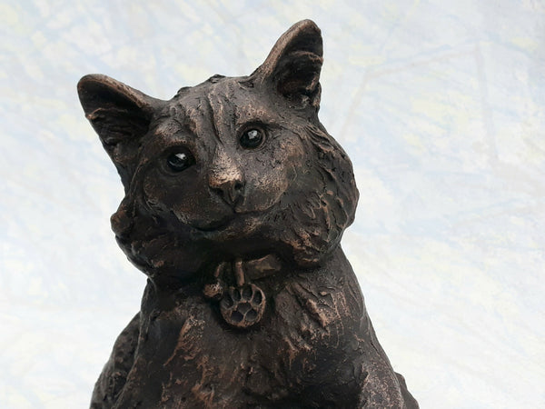 Stan Sitting Fluffy Cat