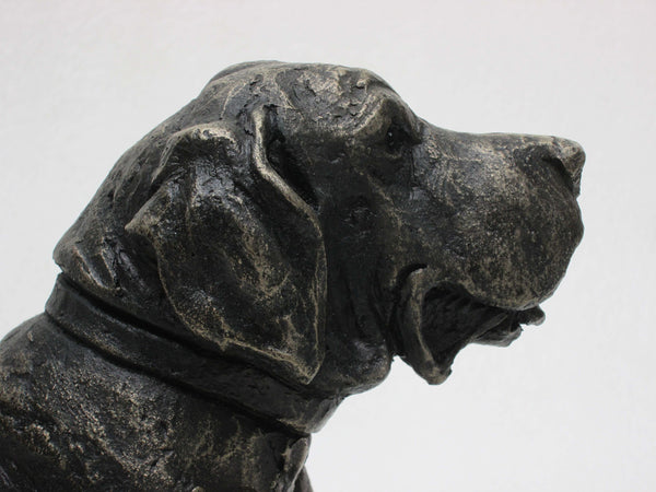 Stanley Lying Great Dane