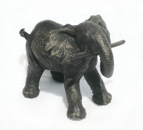 Thabisa Playing Elephant Calf