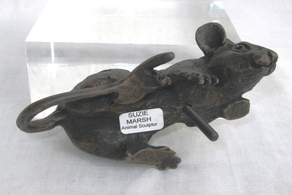 Tomasina with spigot