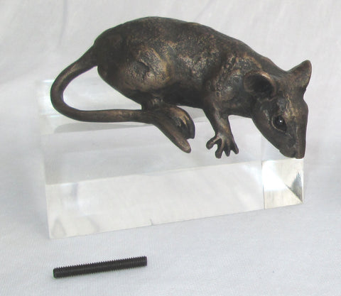 Tomasina with spigot