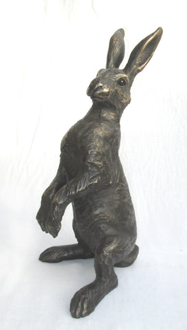 Medium Upright Alert Hare