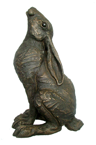Medium Moongazing Hare