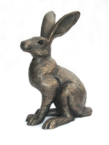 Small Alert Hare